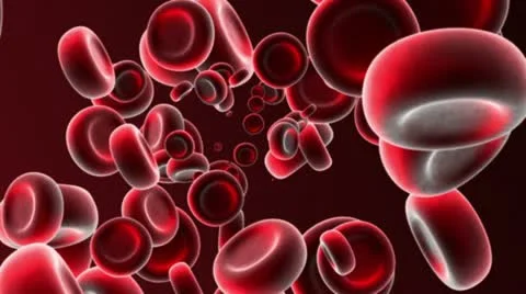 Red Blood Cells 4 Stock-Footage 10936976