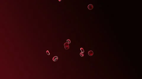 Red Blood Cells 5 Vídeo Stock 10936610