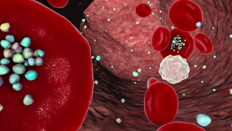 Red blood cells affected by microplastics, animation Vidéo 278398855