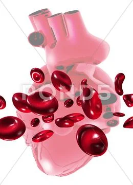 Red blood cells and heart, artwork Stock Illustration