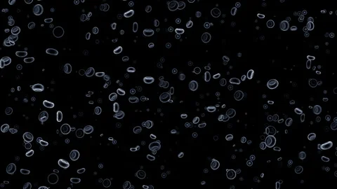 Red blood cells and platelets: medical dynamic video materials Stock Footage 342478137