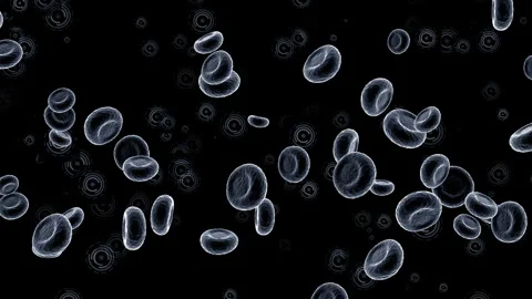 Red blood cells and platelets: medical dynamic video materials Stock Footage 342480148