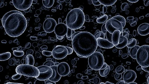 Red blood cells and platelets: medical dynamic video materials Stock Footage 342480205