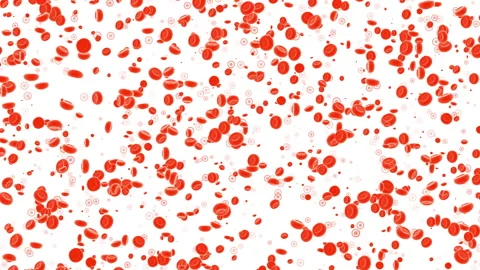 Red blood cells and platelets: medical dynamic video materials Stock Footage 342488910