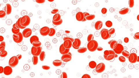 Red blood cells and platelets: medical dynamic video materials Stock Footage 342488952