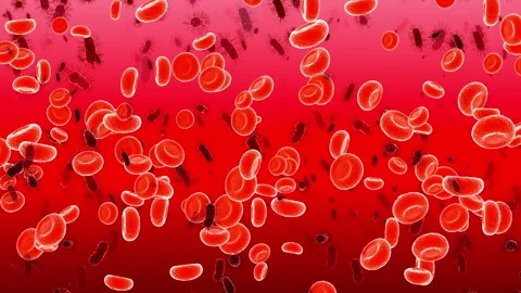 Red blood cells and platelets: medical dynamic video materials Stock Footage 342489054