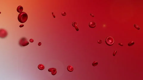 Red blood cells animation Stock Footage 40237965