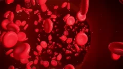 Dark Blood with Bubbles. Footage. Thick Blood with Bubbles Flows Slowly in  Dark Stock Video - Video of flow, dark: 226464079