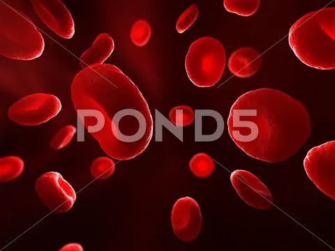 Red blood cells, artwork Stock Illustration