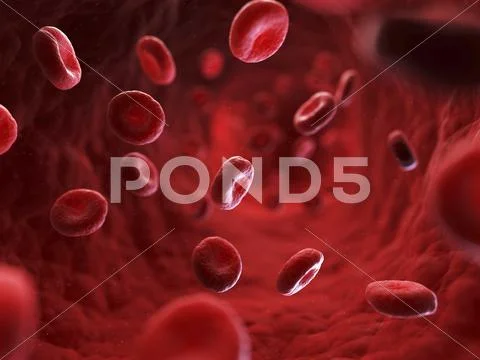 Red blood cells, artwork Stock Illustration