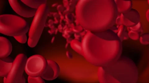 Red blood cells background Video stock 40414469