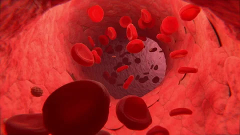 Red blood cells in bloodstream animation... | Stock Video | Pond5