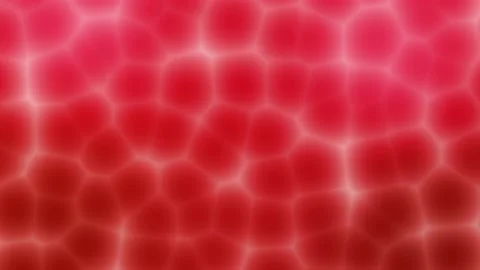 Red Blood Cells Bubbles Motion Graphic Video stock 169627681