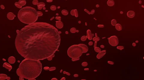 Red Blood Cells Close Up Floating Stock Footage 39377793
