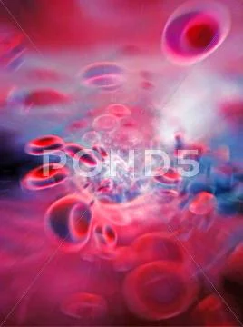 Red blood cells, computer artwork Stock Illustration
