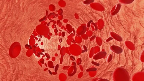 Red blood cells erythrocytes Stock Footage 89311953