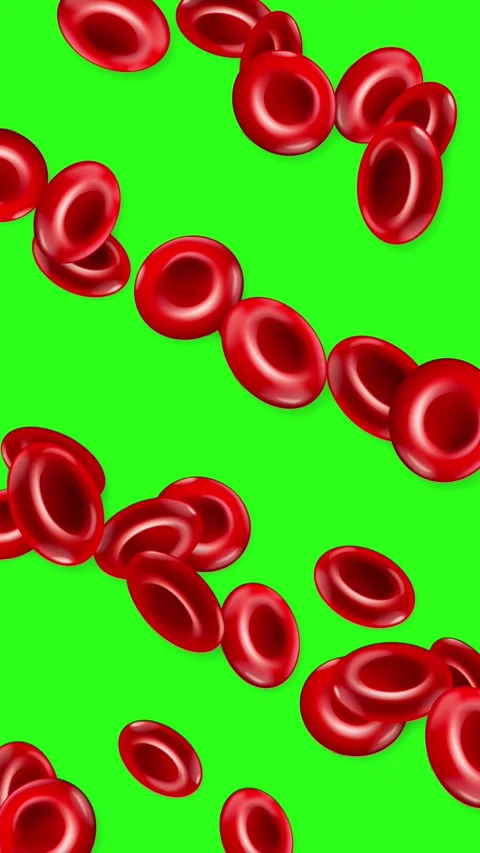 Red Blood Cells Falling Against a Green Screen Background Stock Footage 342208069