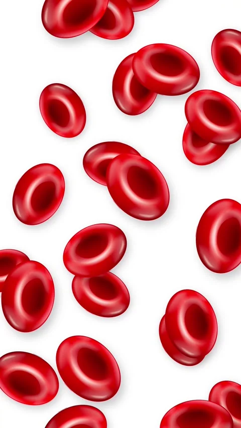 Red Blood Cells Falling Downwards on a White Background Stock Footage 344377280