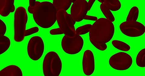 Red blood cells falling slow motion Stock Footage 101597280