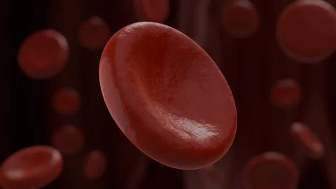 Red blood cells float in dark, fluid medium Stock Illustration