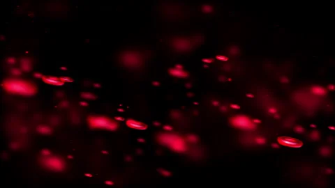 Red Blood Cells Floating on a Black Background Stock Footage 338436768