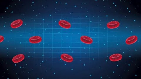 Red blood cells floating in human circulatory system animation for medical .. Video stock 338424725