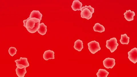 Red blood cells floating in red background Stock Footage 329286594