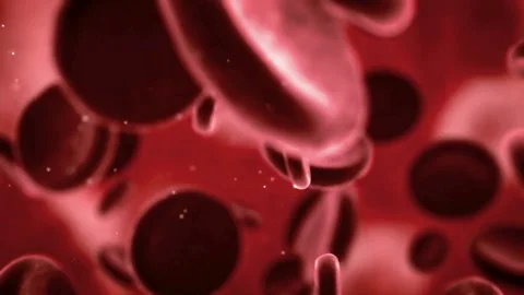 Red blood cells floating through a human vein animation Stock-Footage 333484639