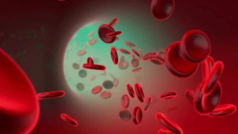 Red blood cells floating through blood and circulating in the vessels Medical Vídeo Stock 334589251