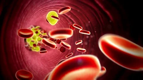 Red blood cells floating through blood and circulating in the vessels Medical Vídeo Stock 334589408