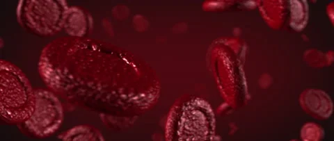 Red blood cells flow inside body. 4k 3D Realistic animation of blood elements Stock Footage 151234472