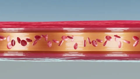 Red blood cells flow inside an artery, cross section. Healthy red blood flow, Stock Footage 159498137