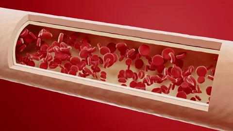 Red blood cells flow inside an artery, cross section artery view. Healthy blood Stock Footage 197376228