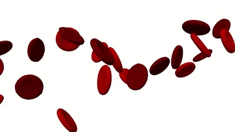 Red blood cells flow inside an artery, v... | Stock Video | Pond5