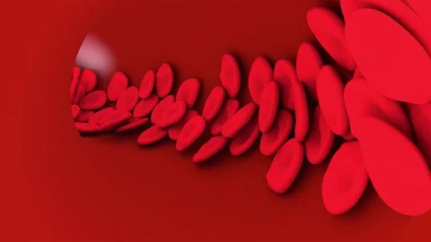 Red blood cells flow inside an artery,vein. Video stock 255515217