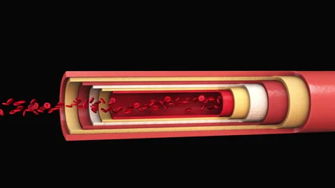 Red blood cells flow inside an artery 스톡 동영상 260399877