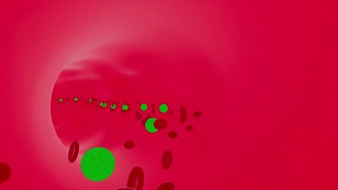 Red blood cells flow inside an artery, cross section artery Vein view. viru.. Stock Footage 284783392