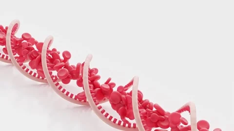 Red blood cells flow inside an DNA double helix. Video stock 302879197