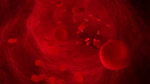 Red Blood Cells Flow Through Blood Vessel 3d Animation Video stock 138136359