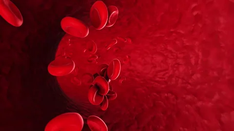 Red Blood cells flow through blood vesse... | Stock Video | Pond5