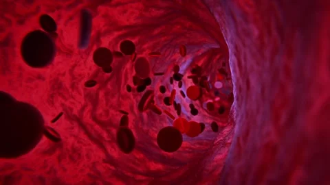 Red blood cells flow through a narrow vessel Video stock 341782876