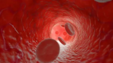 Red blood cells flowing in artery. HD. Looped. Stock Footage