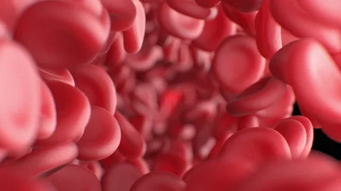 Red Blood Cells Flowing Close-up Seamless Stream. Inside Blood Vessel Looped 3d Stock-Footage 289636751