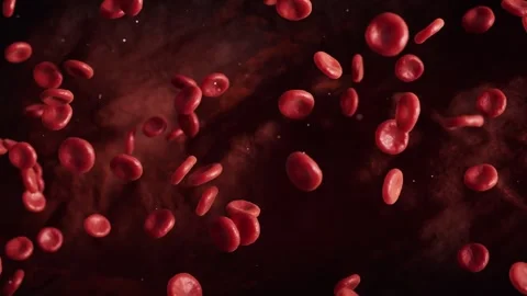 Red blood cells flowing dynamically through circulatory system, microscopic.. Stock Footage 328332595