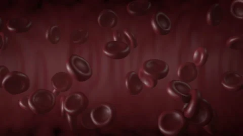 Red blood cells flowing inside blood vessel in macro closeup 4K animation (2) Stock Footage 132208705