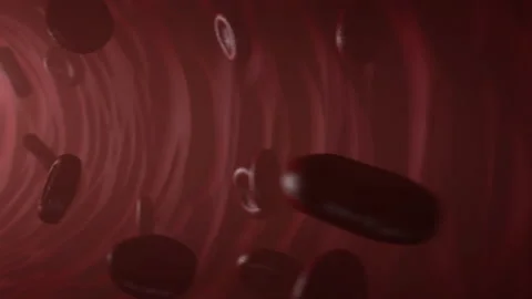 Red blood cells flowing inside blood vessel in macro closeup 4K animation (1) Stock Footage 132208708