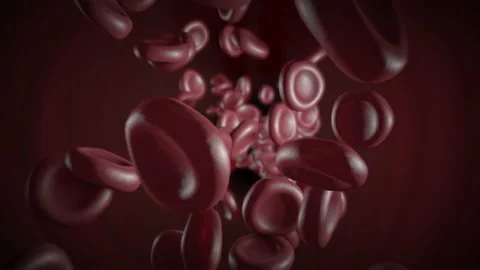 Red blood cells flowing inside blood vessel in macro closeup 4K animation (3) Stock Footage 132208753