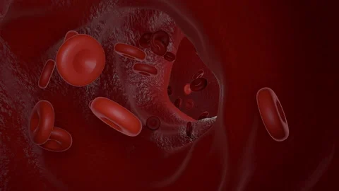 Red Blood Cells Flowing Inside Human Vein Stock Footage 147622207