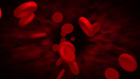 Red blood cells flowing inside vein animatin. Stock Footage 195096208
