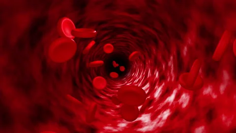 Red blood cells flowing inside vein animatin. Stock Footage 195096532
